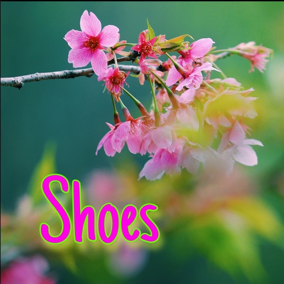 Shoes - Picture 2 of 4